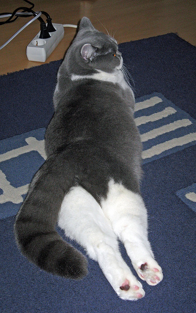 开云·体育全站登录地址-_绿色赛事：倡导环保理念，绿色场地亮相_，绿色环保色彩场景